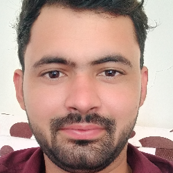 Dinesh Bhambu-Freelancer in Hisar,India