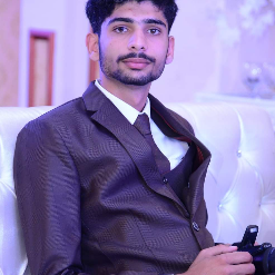 Husnain Ali-Freelancer in Sialkot,Pakistan