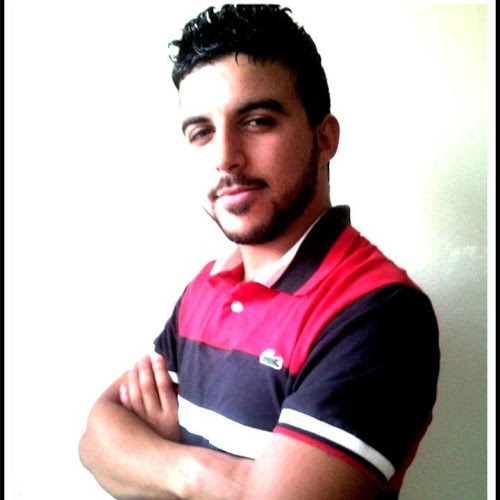 Dridi Bassem-Freelancer in ,Tunisia