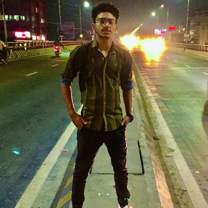 Robin Kumar-Freelancer in Patna,India