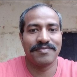 Partha Sarathi Nayak-Freelancer in sunabeda,India
