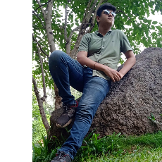 Piyush Chandwani-Freelancer in Raver,India