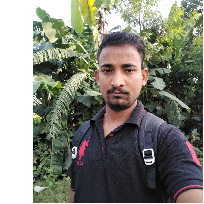 Vijay Thakur-Freelancer in Pathankot,India