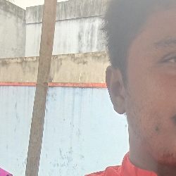 Singareesu Sivasaibabu-Freelancer in Vijayawada,India