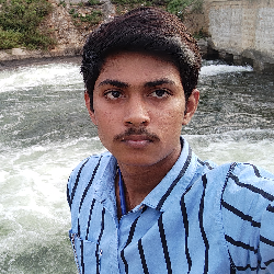 Veeresh P-Freelancer in Mysore,India