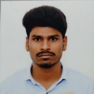 P Lalu Basha-Freelancer in Anantapur,India