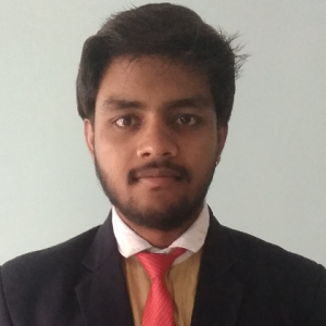 Gireeraj Sahu-Freelancer in RAIPUR,India