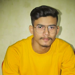 Miftaur Rashul-Freelancer in Niz Hajo,India