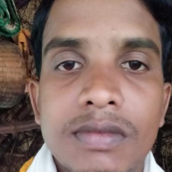 Romeo Raja-Freelancer in Nilgiri,India