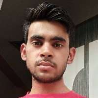 Vikki Kumar-Freelancer in Ghaziabad,India