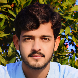 Tajamal Abbas Mehdi-Freelancer in khushab,Pakistan