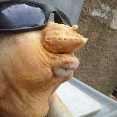 Celestine Arnold-Freelancer in Bayelsa,Nigeria