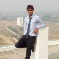 Kl Meena-Freelancer in South East Delhi,India