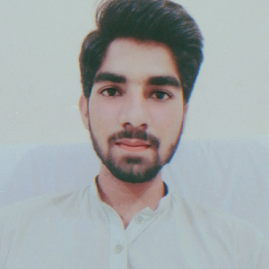 Mudassir Hussain Malik-Freelancer in Multan,Pakistan