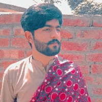 Adeel Haider-Freelancer in Sialkot,Pakistan