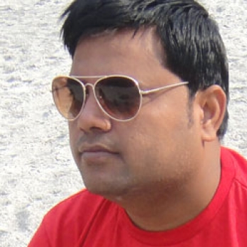 Sudhir Sharma-Freelancer in Ghaziabad,India
