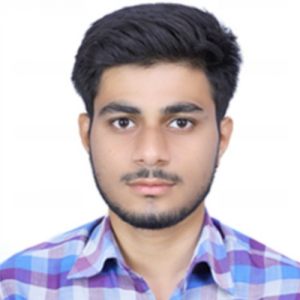 Habib Shaik-Freelancer in Nandyal,India