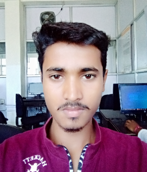 Bipin Kumar-Freelancer in Patna,India