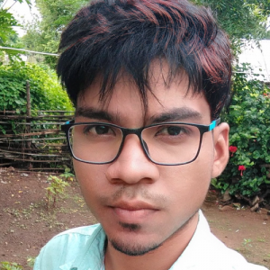 Pawan Meshram-Freelancer in Kurkheda,India