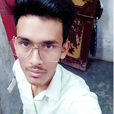 Shoaib Salmani-Freelancer in Noida,India