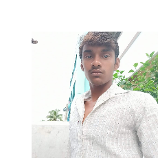 Abothula Anil-Freelancer in Alamuru,India