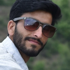 Zulfiqar-Freelancer in Jammu & Kashmir,India