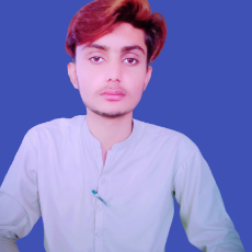 Hannan Ali-Freelancer in Multan,Pakistan