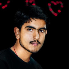 Ashok Kumar Singh-Freelancer in Ambikapur,India