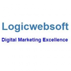 Logicwebsoft Technology-Freelancer in New Delhi,India