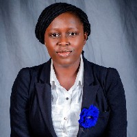 Olasode Adesola-Freelancer in Bosso,Nigeria