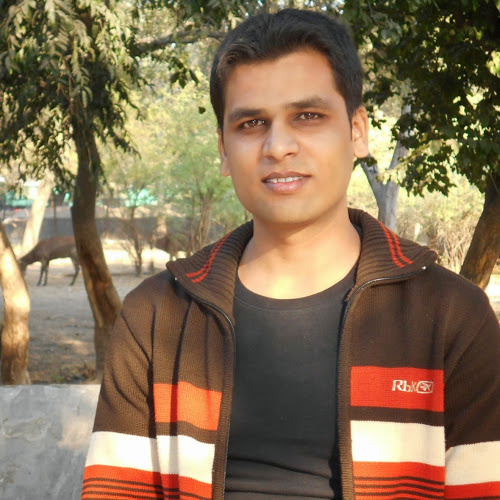 Mohd Sadaf-Freelancer in ,India