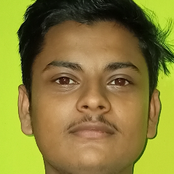 Abhishek Chakraborty-Freelancer in Uttar Krishnapur Part-I,India