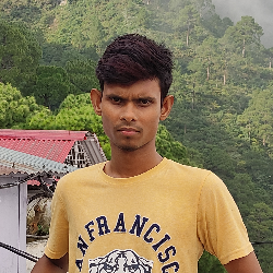 Rupesh Kumar-Freelancer in Patna,India