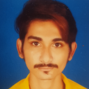 Suresh Mali-Freelancer in BARODA,India
