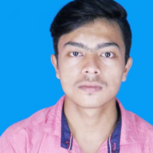ABHIK MAJI-Freelancer in HOWRAH,India