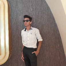 Gaurang Surti-Freelancer in Gujarat, India,India