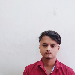Shubham Pandey-Freelancer in Satna,India