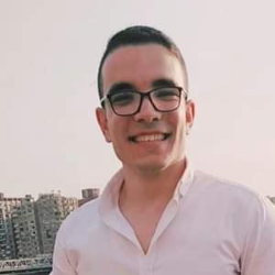 Hussein Soliman-Freelancer in Cairo,Egypt