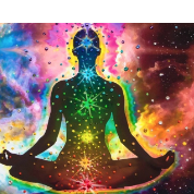 Mayra-Freelancer in New Delhi,India