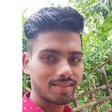 Manas Kumar Dash-Freelancer in Balasore,India