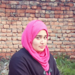 Malaika Mir-Freelancer in Abbottabad,Pakistan