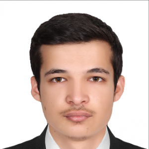 Fardin Ziaee-Freelancer in Balkh,Afghanistan