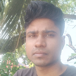 Sk Amirul-Freelancer in Haldia,India