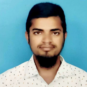 Shaik Nazeerbasha-Freelancer in Vijayawada,India