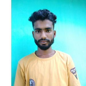 Ismail Hussain-Freelancer in Guwahati,India