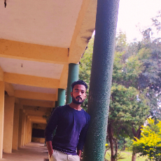 Shaikh Idris-Freelancer in Nagpur,India