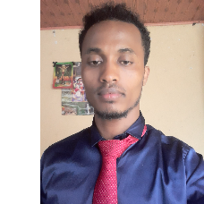 Abreham Shiferaw-Freelancer in Addis Ababa,Ethiopia