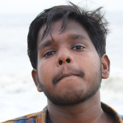 W Vibin-Freelancer in Chennai,India