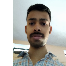 Ashish Bhargava-Freelancer in Alwar,India