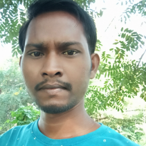Gangadhar Jal-Freelancer in Subarnapur,India